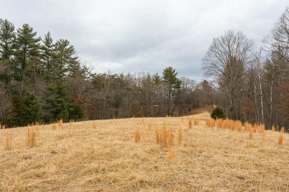 19962 RAINBOW RIDGE RD, BERGTON, Virginia 22811, 3 Bedrooms Bedrooms, ,1 BathroomBathrooms,Residential,14,19962 RAINBOW RIDGE RD,675176 MLS # 675176