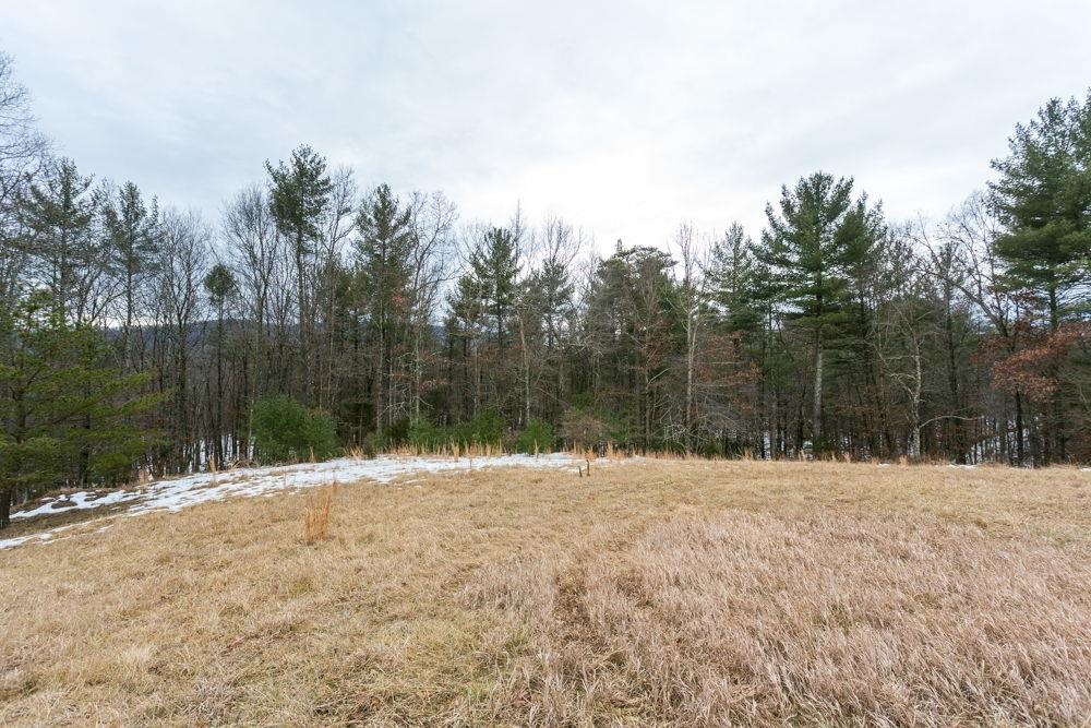 19962 RAINBOW RIDGE RD, BERGTON, Virginia 22811, 3 Bedrooms Bedrooms, ,1 BathroomBathrooms,Residential,14,19962 RAINBOW RIDGE RD,675176 MLS # 675176