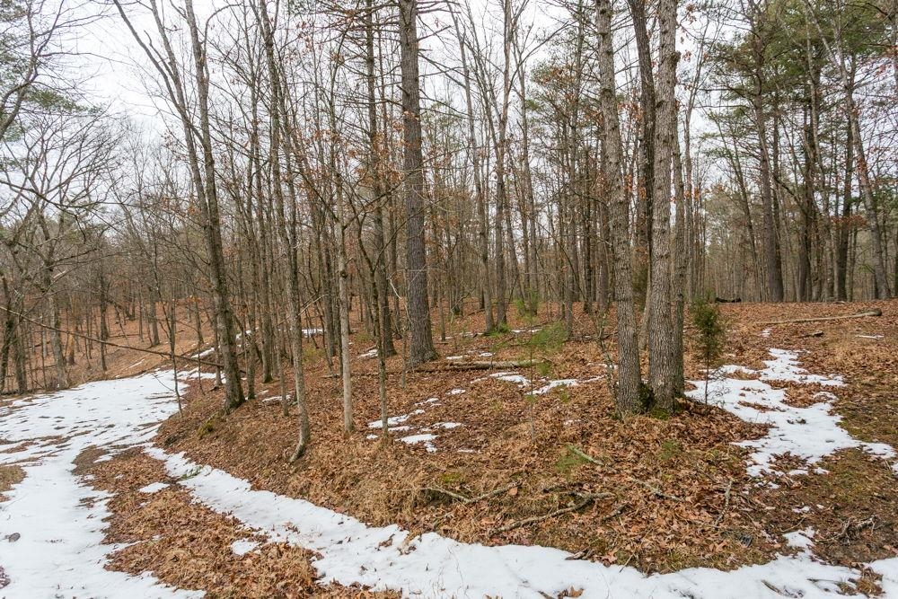 19962 RAINBOW RIDGE RD, BERGTON, Virginia 22811, 3 Bedrooms Bedrooms, ,1 BathroomBathrooms,Residential,14,19962 RAINBOW RIDGE RD,675176 MLS # 675176