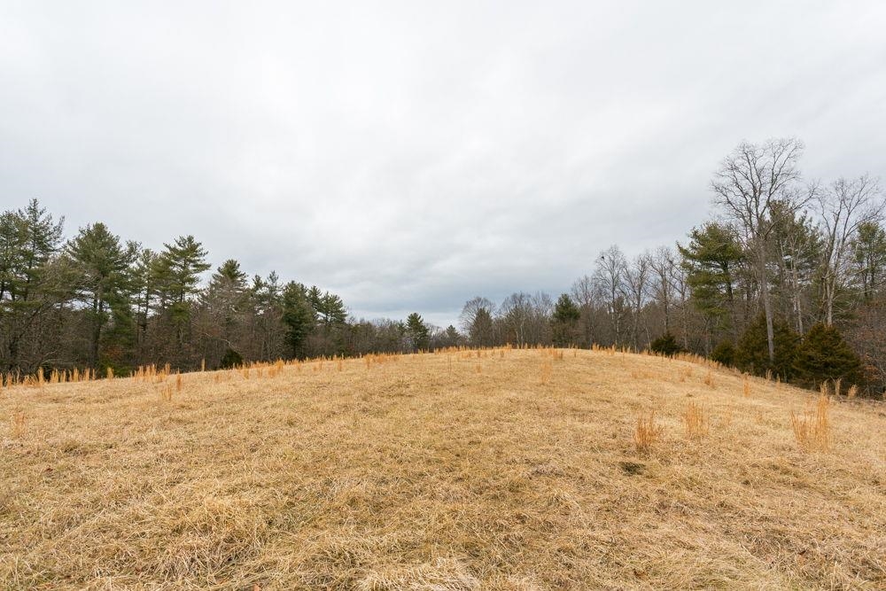 19962 RAINBOW RIDGE RD, BERGTON, Virginia 22811, 3 Bedrooms Bedrooms, ,1 BathroomBathrooms,Residential,14,19962 RAINBOW RIDGE RD,675176 MLS # 675176