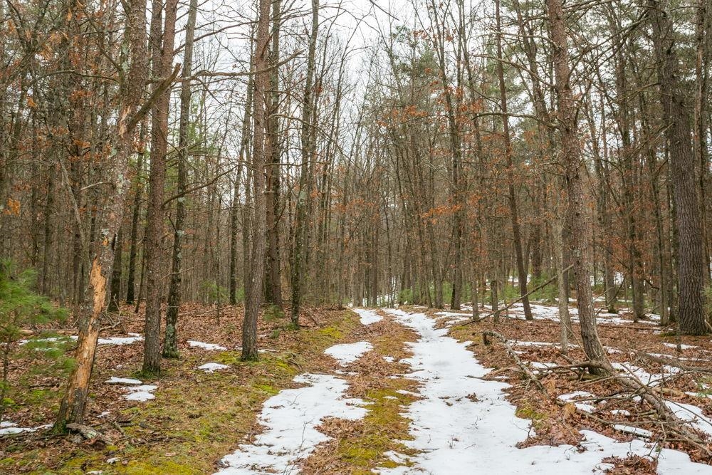 19962 RAINBOW RIDGE RD, BERGTON, Virginia 22811, 3 Bedrooms Bedrooms, ,1 BathroomBathrooms,Residential,14,19962 RAINBOW RIDGE RD,675176 MLS # 675176