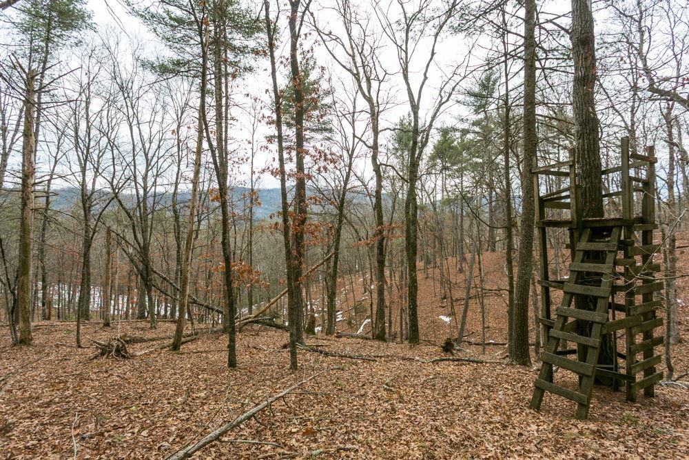 19962 RAINBOW RIDGE RD, BERGTON, Virginia 22811, 3 Bedrooms Bedrooms, ,1 BathroomBathrooms,Residential,14,19962 RAINBOW RIDGE RD,675176 MLS # 675176