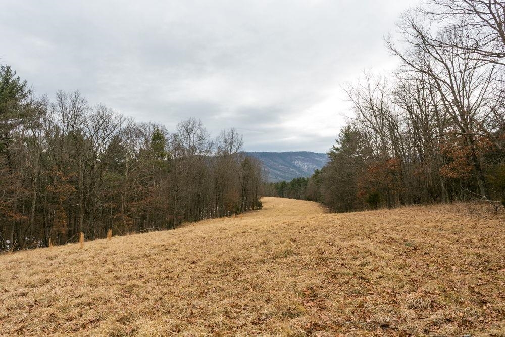 19962 RAINBOW RIDGE RD, BERGTON, Virginia 22811, 3 Bedrooms Bedrooms, ,1 BathroomBathrooms,Residential,14,19962 RAINBOW RIDGE RD,675176 MLS # 675176