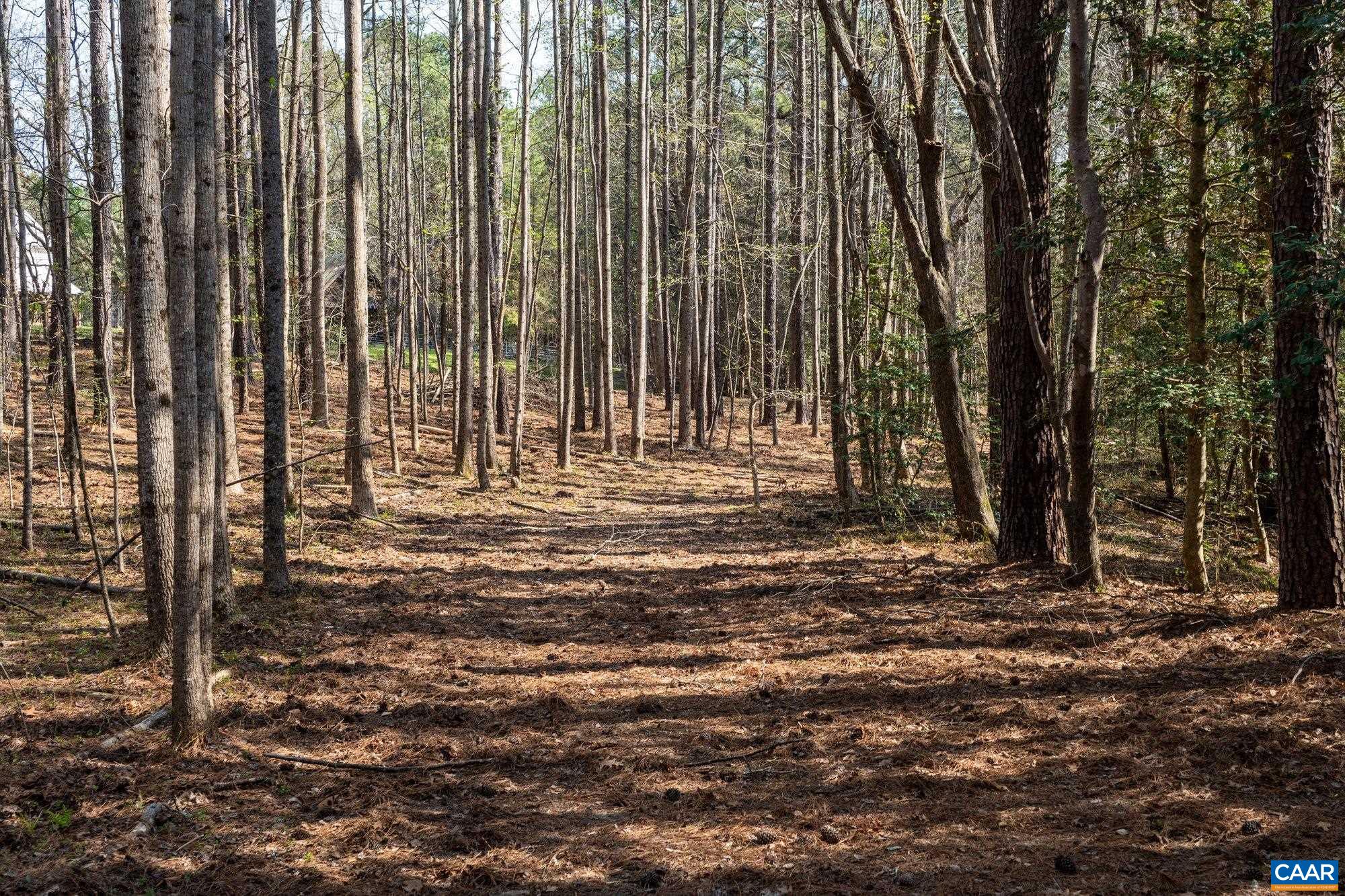 14910 WESTERN MILL RD, LAWRENCEVILLE, Virginia 23868, 6 Bedrooms Bedrooms, ,3 BathroomsBathrooms,Residential,14,14910 WESTERN MILL RD,675164 MLS # 675164