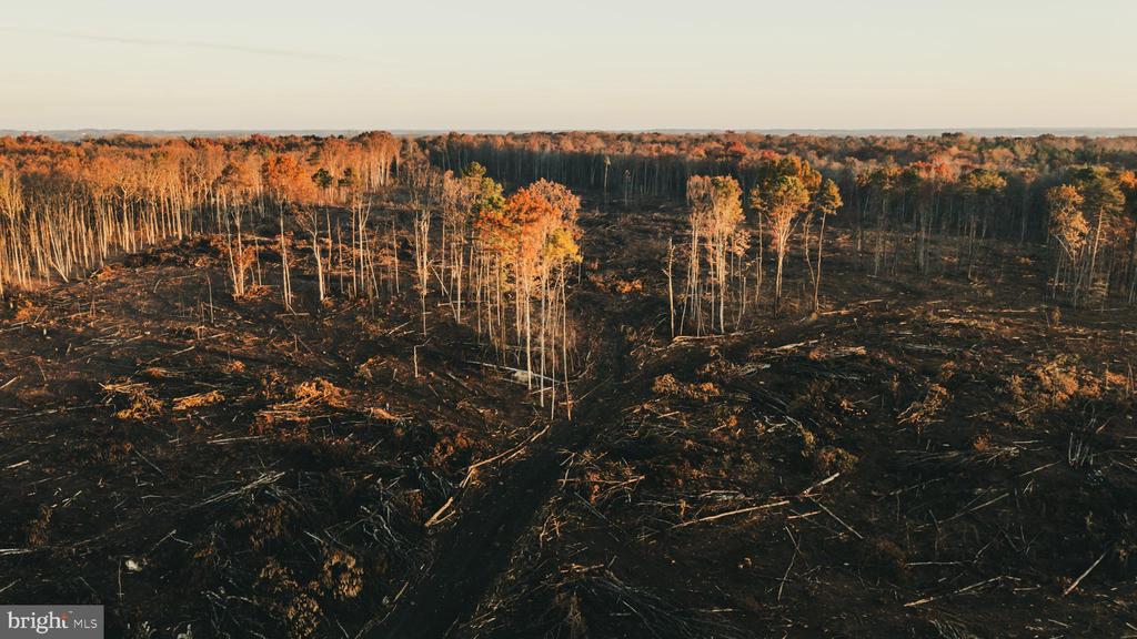 12600 W CATHARPIN RD, SPOTSYLVANIA, Virginia 22551, ,Farm,14,12600 W CATHARPIN RD,VASP2040586 MLS # VASP2040586