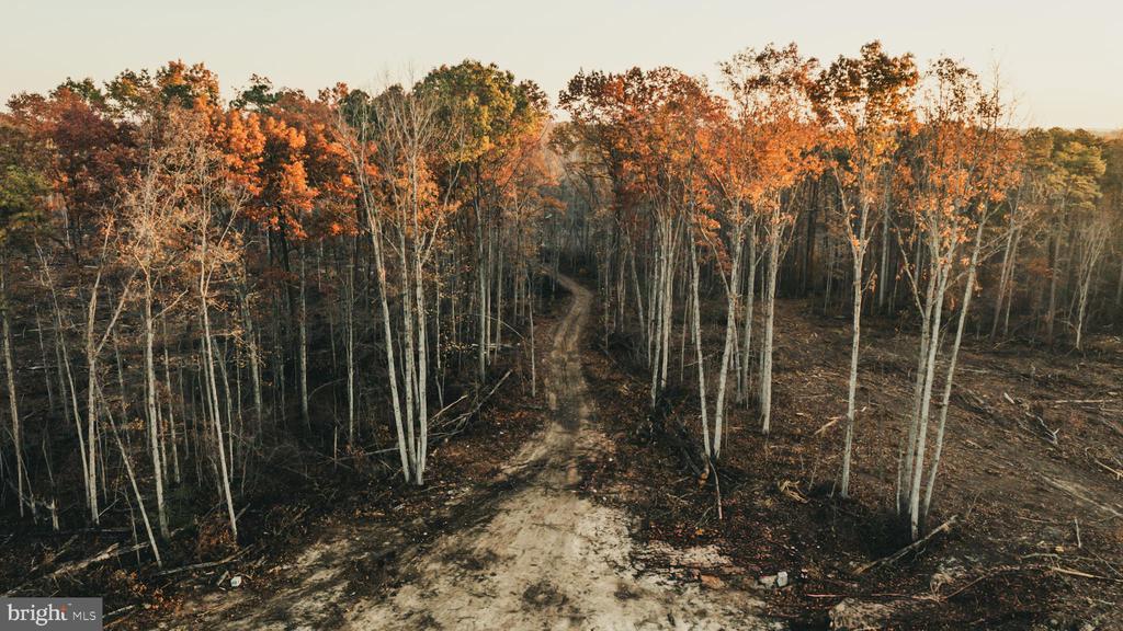 12600 W CATHARPIN RD, SPOTSYLVANIA, Virginia 22551, ,Farm,14,12600 W CATHARPIN RD,VASP2040586 MLS # VASP2040586