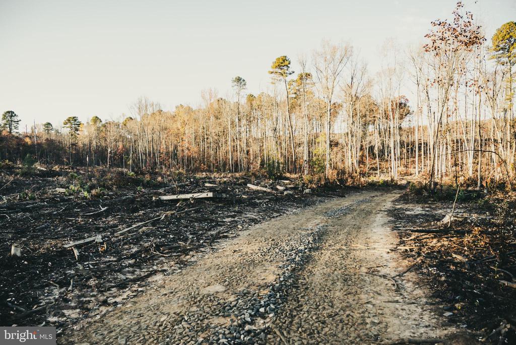 12600 W CATHARPIN RD, SPOTSYLVANIA, Virginia 22551, ,Farm,14,12600 W CATHARPIN RD,VASP2040586 MLS # VASP2040586