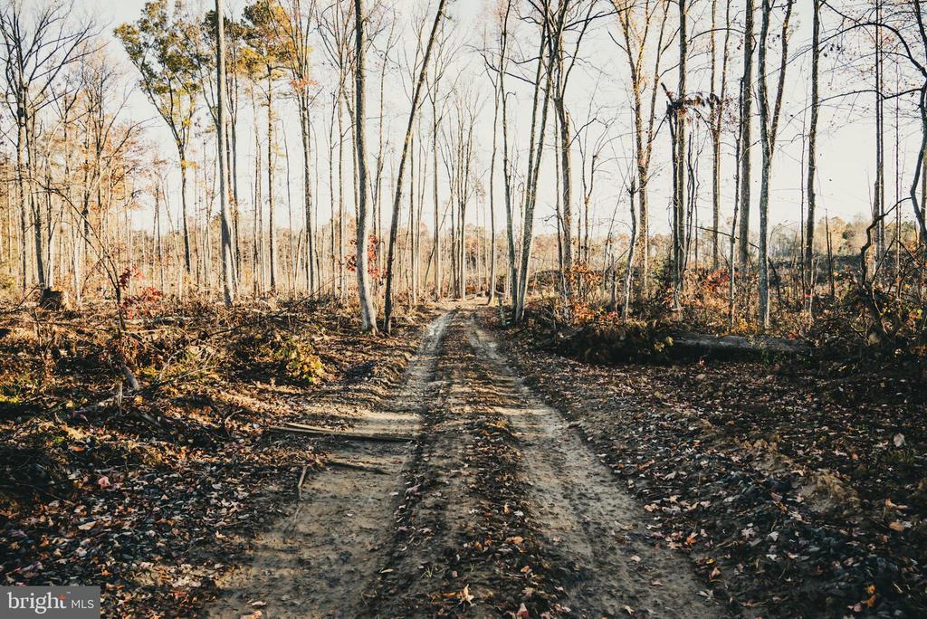 12600 W CATHARPIN RD, SPOTSYLVANIA, Virginia 22551, ,Farm,14,12600 W CATHARPIN RD,VASP2040586 MLS # VASP2040586