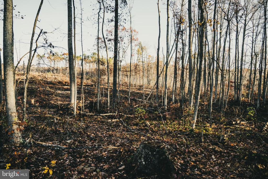 12600 W CATHARPIN RD, SPOTSYLVANIA, Virginia 22551, ,Farm,14,12600 W CATHARPIN RD,VASP2040586 MLS # VASP2040586