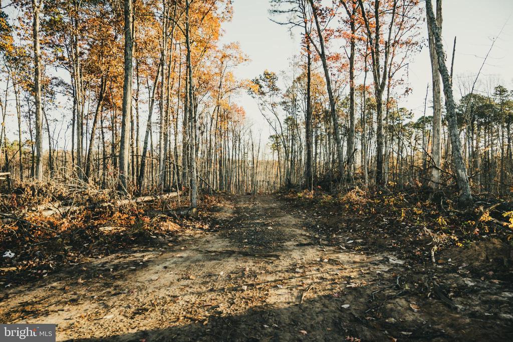 12600 W CATHARPIN RD, SPOTSYLVANIA, Virginia 22551, ,Farm,14,12600 W CATHARPIN RD,VASP2040586 MLS # VASP2040586