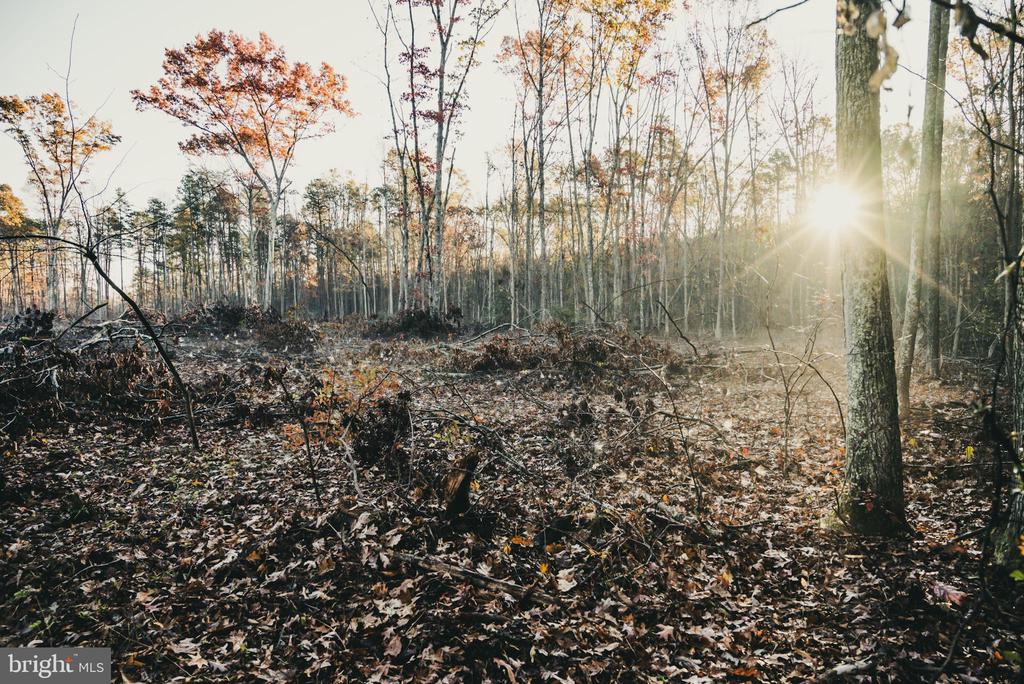 12600 W CATHARPIN RD, SPOTSYLVANIA, Virginia 22551, ,Farm,14,12600 W CATHARPIN RD,VASP2040586 MLS # VASP2040586