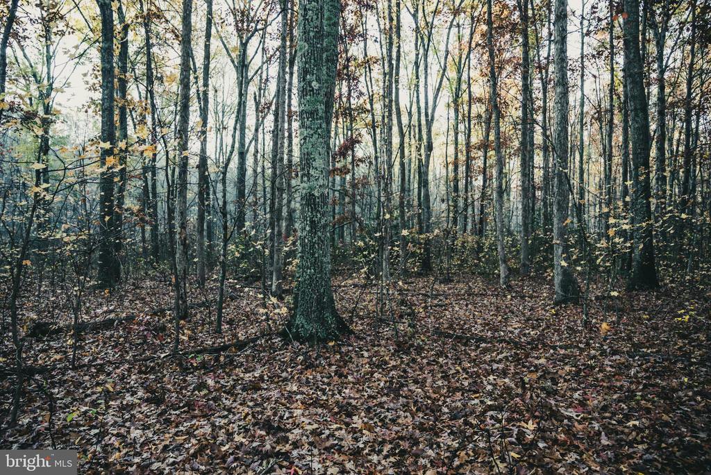 12600 W CATHARPIN RD, SPOTSYLVANIA, Virginia 22551, ,Farm,14,12600 W CATHARPIN RD,VASP2040586 MLS # VASP2040586