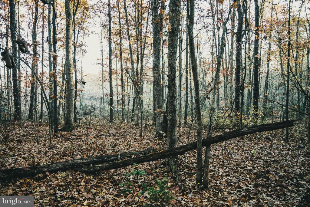 12600 W CATHARPIN RD, SPOTSYLVANIA, Virginia 22551, ,Farm,14,12600 W CATHARPIN RD,VASP2040586 MLS # VASP2040586