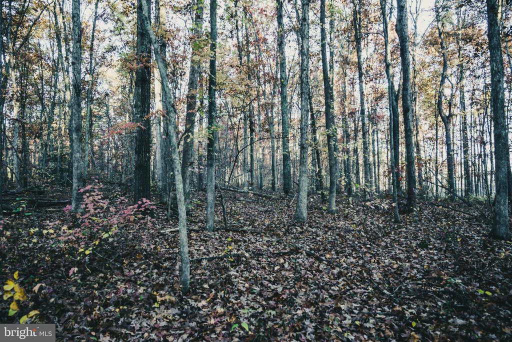 12600 W CATHARPIN RD, SPOTSYLVANIA, Virginia 22551, ,Farm,14,12600 W CATHARPIN RD,VASP2040586 MLS # VASP2040586