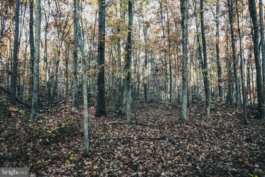 12600 W CATHARPIN RD, SPOTSYLVANIA, Virginia 22551, ,Farm,14,12600 W CATHARPIN RD,VASP2040586 MLS # VASP2040586