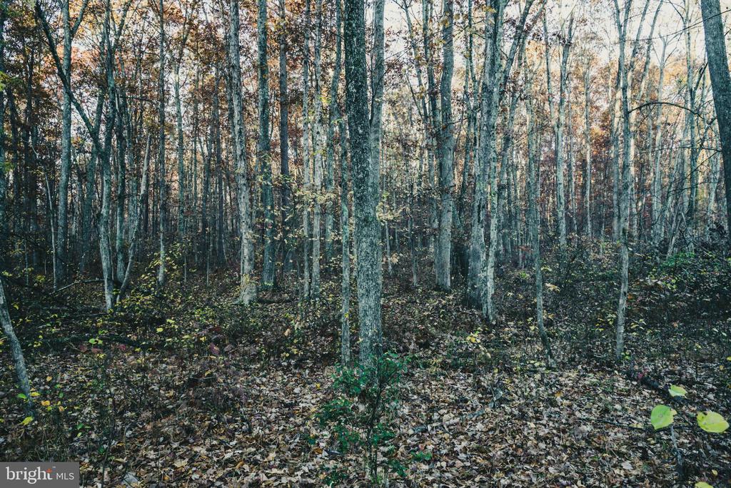 12600 W CATHARPIN RD, SPOTSYLVANIA, Virginia 22551, ,Farm,14,12600 W CATHARPIN RD,VASP2040586 MLS # VASP2040586