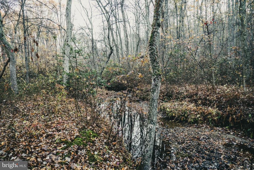 12600 W CATHARPIN RD, SPOTSYLVANIA, Virginia 22551, ,Farm,14,12600 W CATHARPIN RD,VASP2040586 MLS # VASP2040586