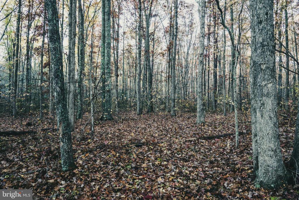 12600 W CATHARPIN RD, SPOTSYLVANIA, Virginia 22551, ,Farm,14,12600 W CATHARPIN RD,VASP2040586 MLS # VASP2040586