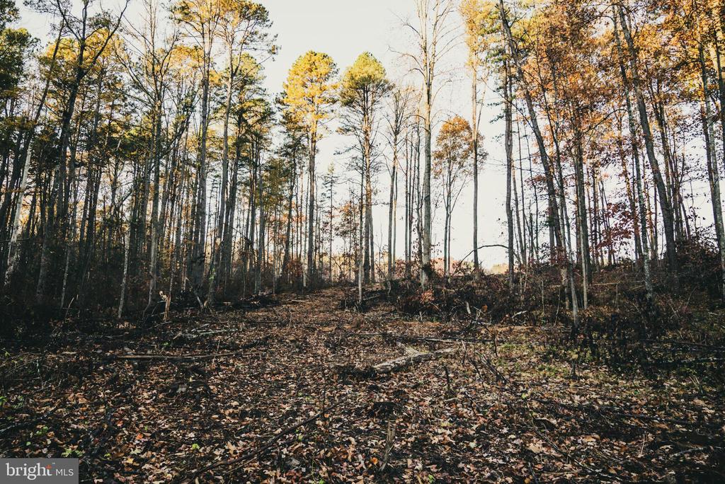 12600 W CATHARPIN RD, SPOTSYLVANIA, Virginia 22551, ,Farm,14,12600 W CATHARPIN RD,VASP2040586 MLS # VASP2040586