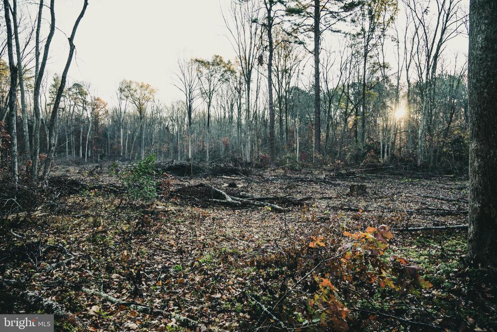 12600 W CATHARPIN RD, SPOTSYLVANIA, Virginia 22551, ,Farm,14,12600 W CATHARPIN RD,VASP2040586 MLS # VASP2040586