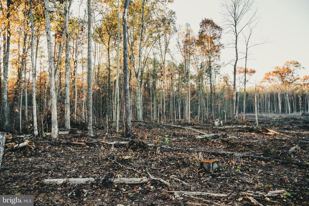 12600 W CATHARPIN RD, SPOTSYLVANIA, Virginia 22551, ,Farm,14,12600 W CATHARPIN RD,VASP2040586 MLS # VASP2040586