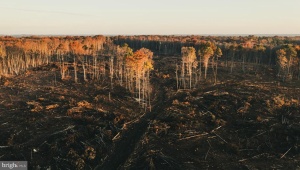 12600 W CATHARPIN RD, SPOTSYLVANIA, Virginia 22551, ,Farm,14,12600 W CATHARPIN RD,VASP2040586 MLS # VASP2040586