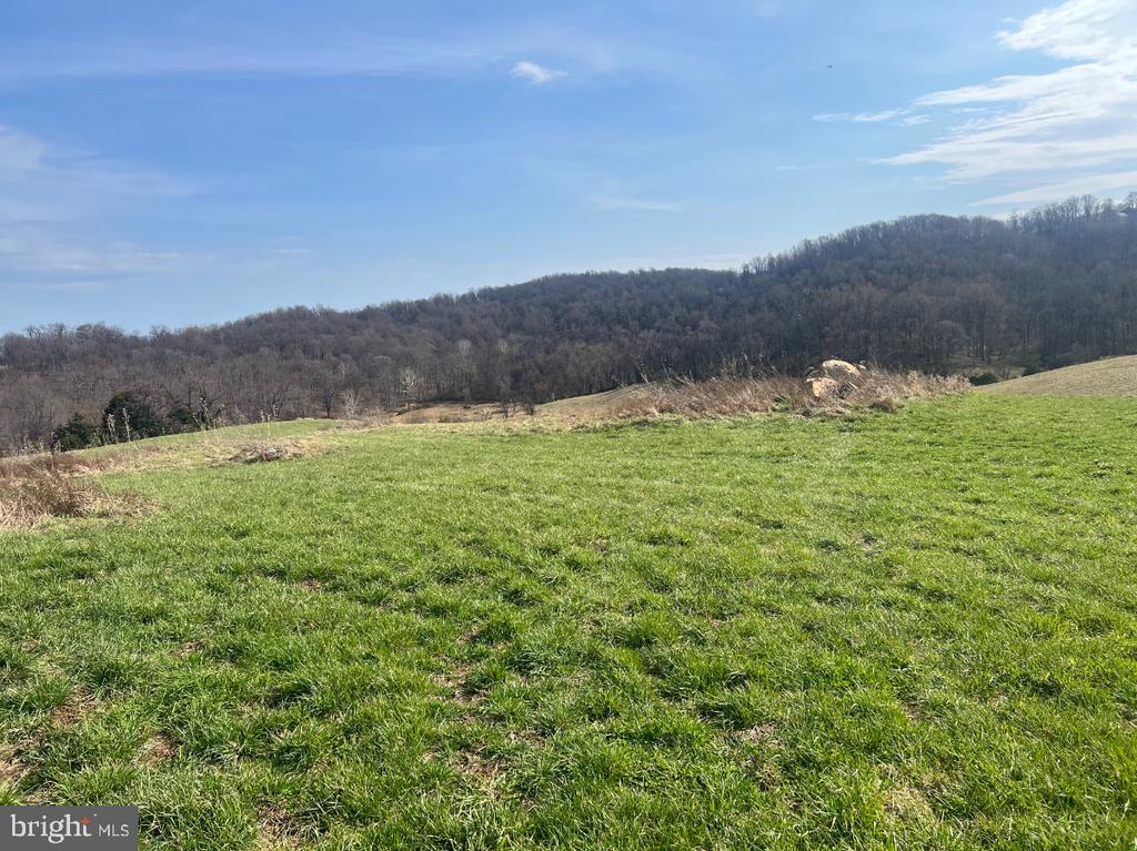 2065 LEEDS MANOR RD, DELAPLANE, Virginia, ,Farm,14,2065 LEEDS MANOR RD,VAFQ2021278 MLS # VAFQ2021278