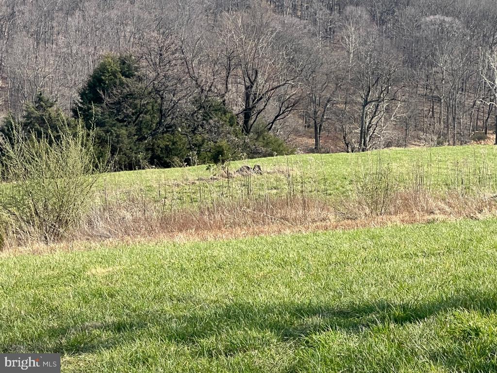 2065 LEEDS MANOR RD, DELAPLANE, Virginia, ,Farm,14,2065 LEEDS MANOR RD,VAFQ2021278 MLS # VAFQ2021278