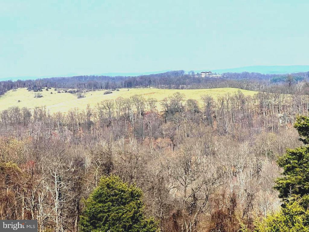 2065 LEEDS MANOR RD, DELAPLANE, Virginia, ,Farm,14,2065 LEEDS MANOR RD,VAFQ2021278 MLS # VAFQ2021278