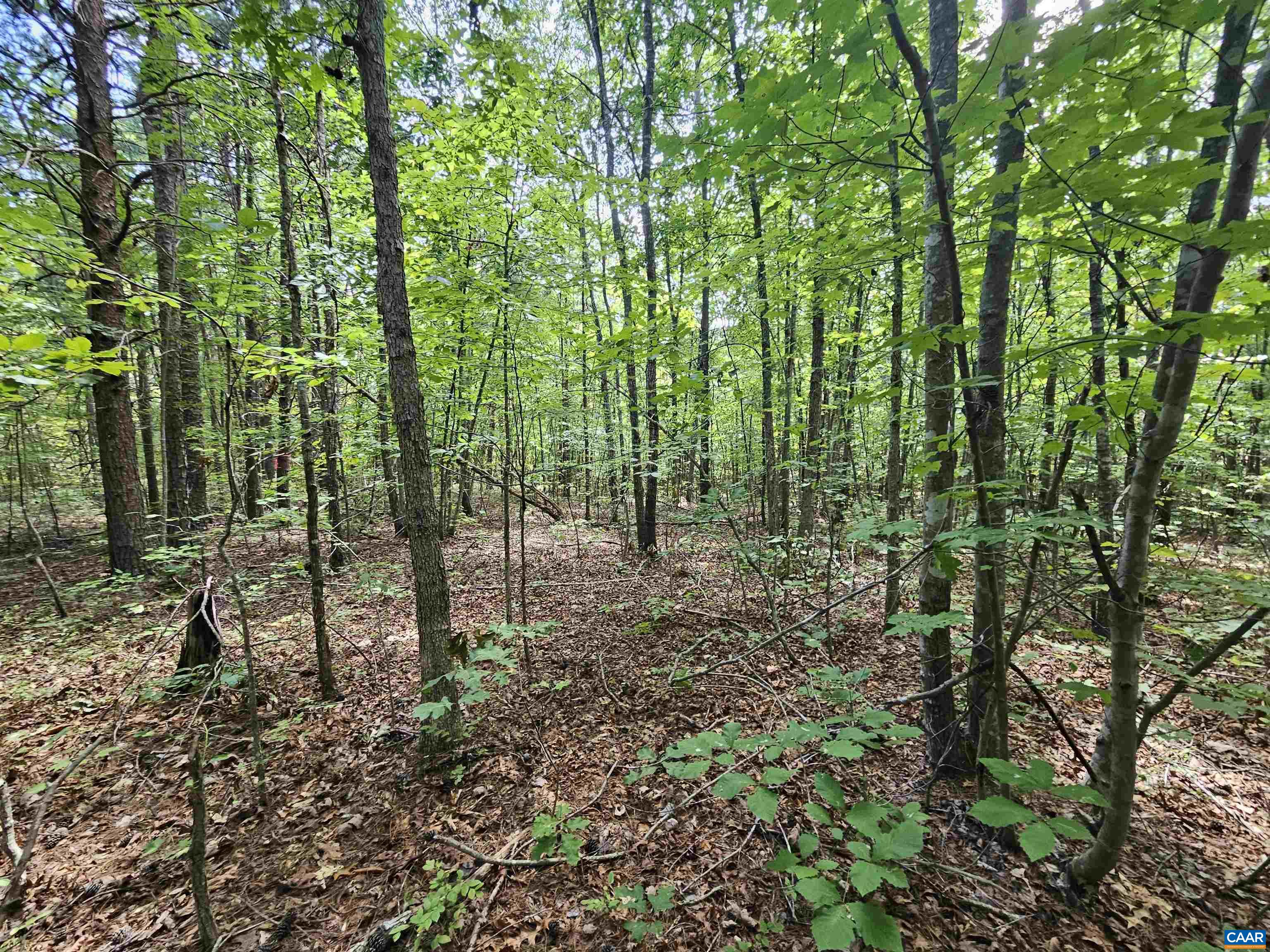 100 Ac W JAMES ANDERSON HWY, GLADSTONE, Virginia 24553, ,Farm,14,100 Ac W JAMES ANDERSON HWY,675255 MLS # 675255 100 Ac W JAMES ANDERSON HWY, GLADSTONE, Virginia 24553, ,Farm,14,100 Ac W JAMES ANDERSON HWY,675255 MLS # 675255