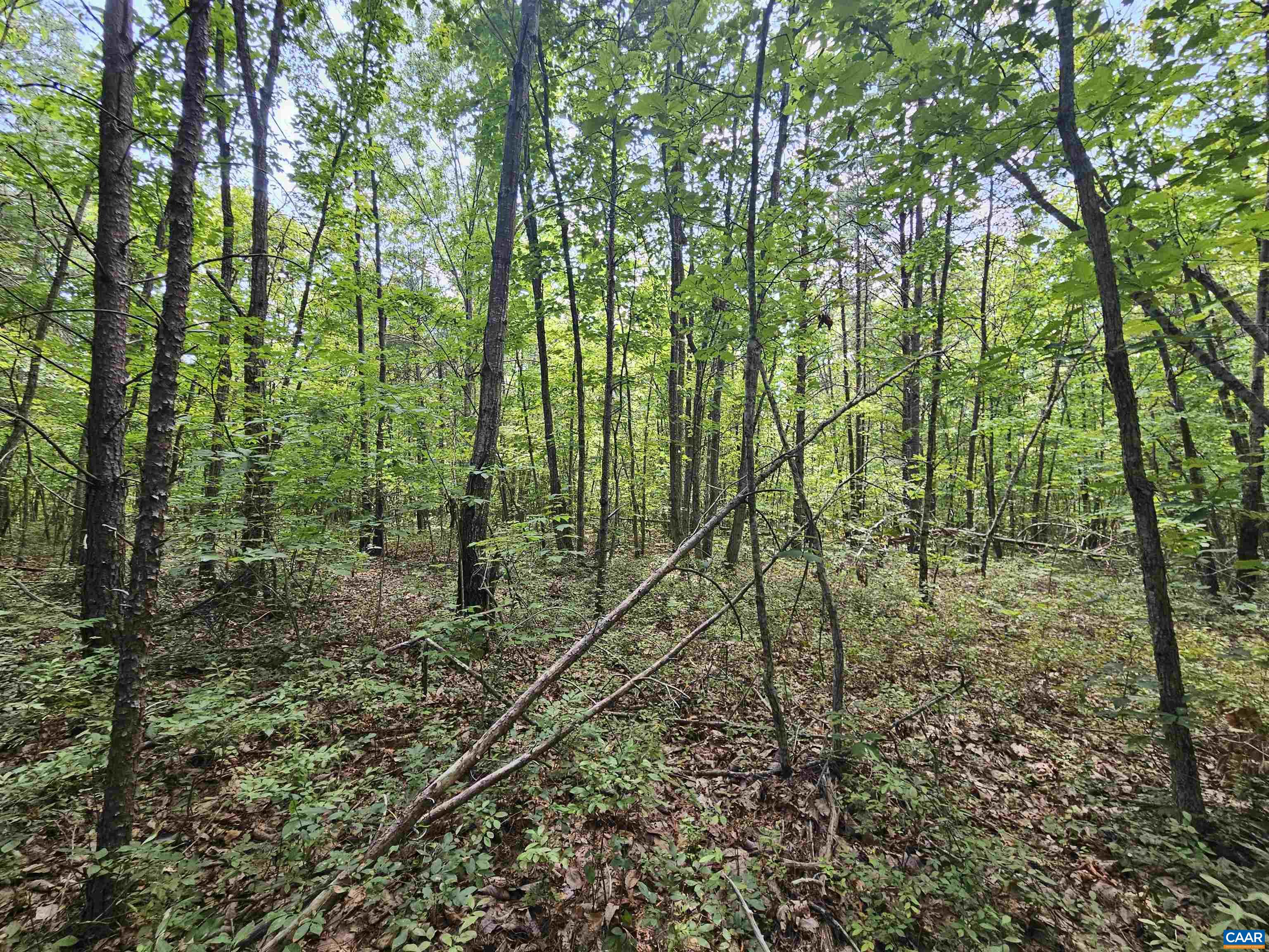 100 Ac W JAMES ANDERSON HWY, GLADSTONE, Virginia 24553, ,Farm,14,100 Ac W JAMES ANDERSON HWY,675255 MLS # 675255 100 Ac W JAMES ANDERSON HWY, GLADSTONE, Virginia 24553, ,Farm,14,100 Ac W JAMES ANDERSON HWY,675255 MLS # 675255