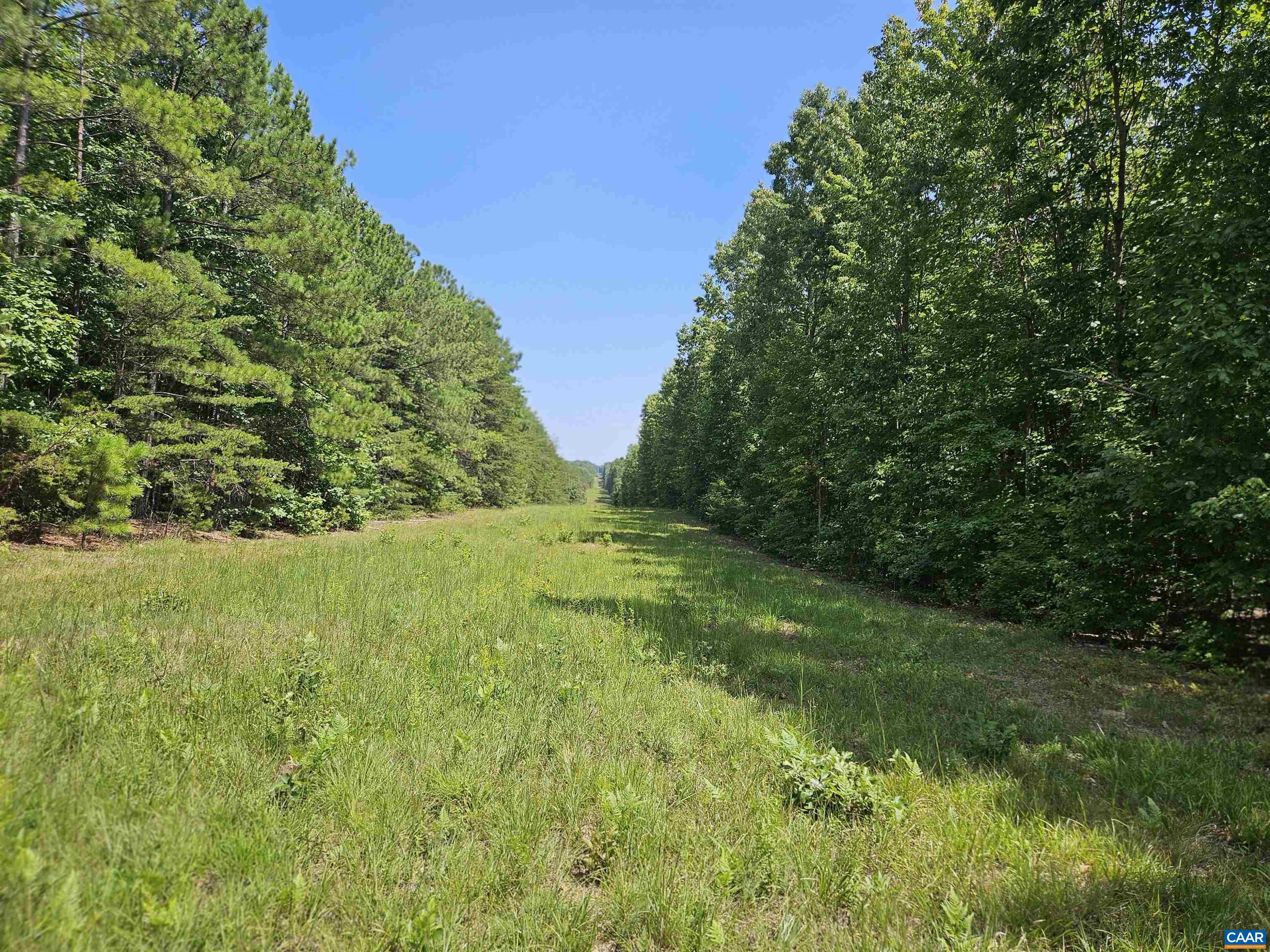 100 Ac W JAMES ANDERSON HWY, GLADSTONE, Virginia 24553, ,Farm,14,100 Ac W JAMES ANDERSON HWY,675255 MLS # 675255 100 Ac W JAMES ANDERSON HWY, GLADSTONE, Virginia 24553, ,Farm,14,100 Ac W JAMES ANDERSON HWY,675255 MLS # 675255