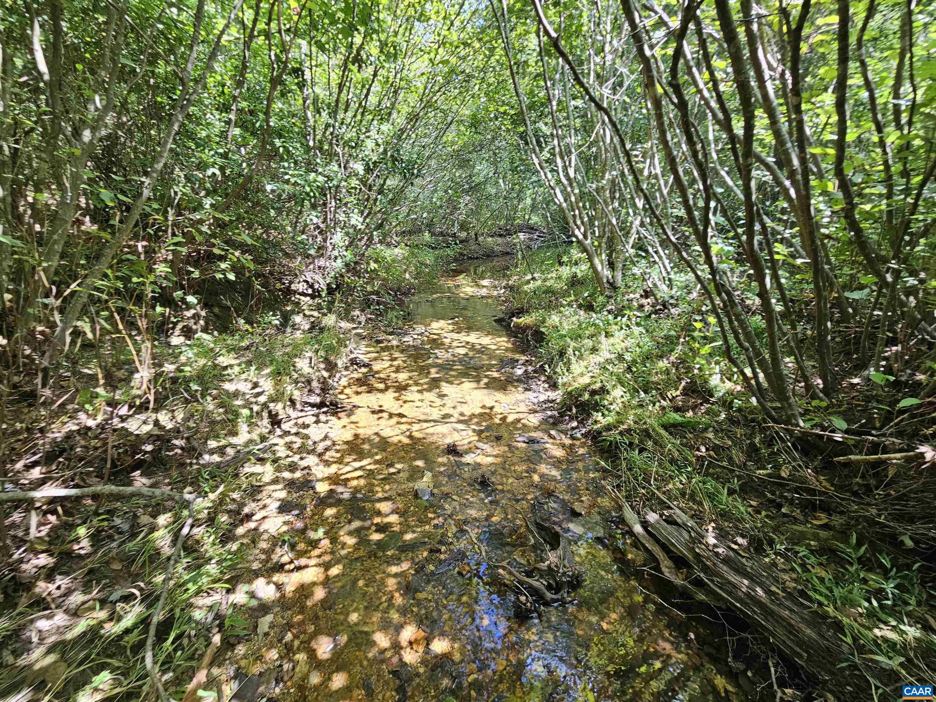 100 Ac W JAMES ANDERSON HWY, GLADSTONE, Virginia 24553, ,Farm,14,100 Ac W JAMES ANDERSON HWY,675255 MLS # 675255 100 Ac W JAMES ANDERSON HWY, GLADSTONE, Virginia 24553, ,Farm,14,100 Ac W JAMES ANDERSON HWY,675255 MLS # 675255