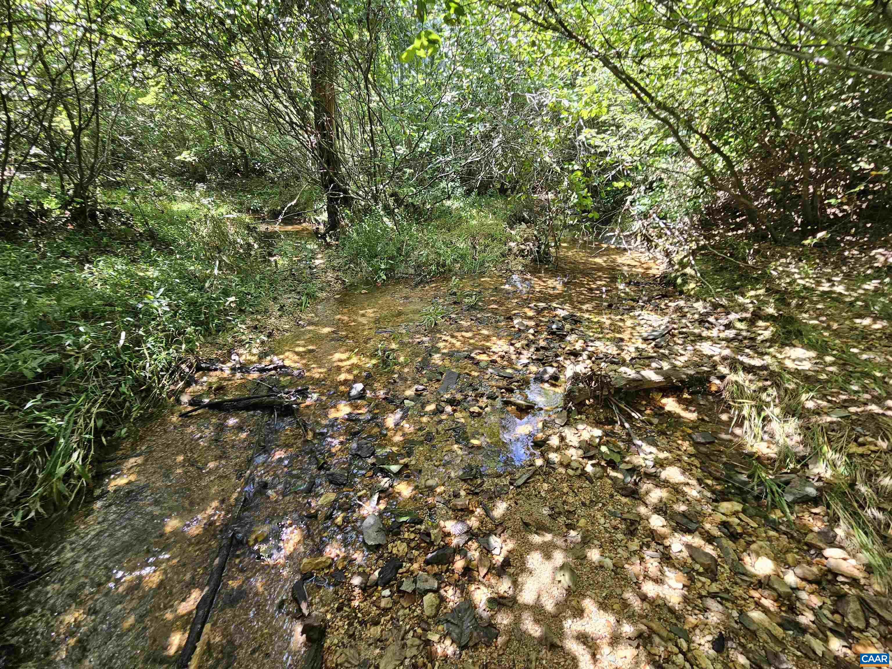 100 Ac W JAMES ANDERSON HWY, GLADSTONE, Virginia 24553, ,Farm,14,100 Ac W JAMES ANDERSON HWY,675255 MLS # 675255 100 Ac W JAMES ANDERSON HWY, GLADSTONE, Virginia 24553, ,Farm,14,100 Ac W JAMES ANDERSON HWY,675255 MLS # 675255