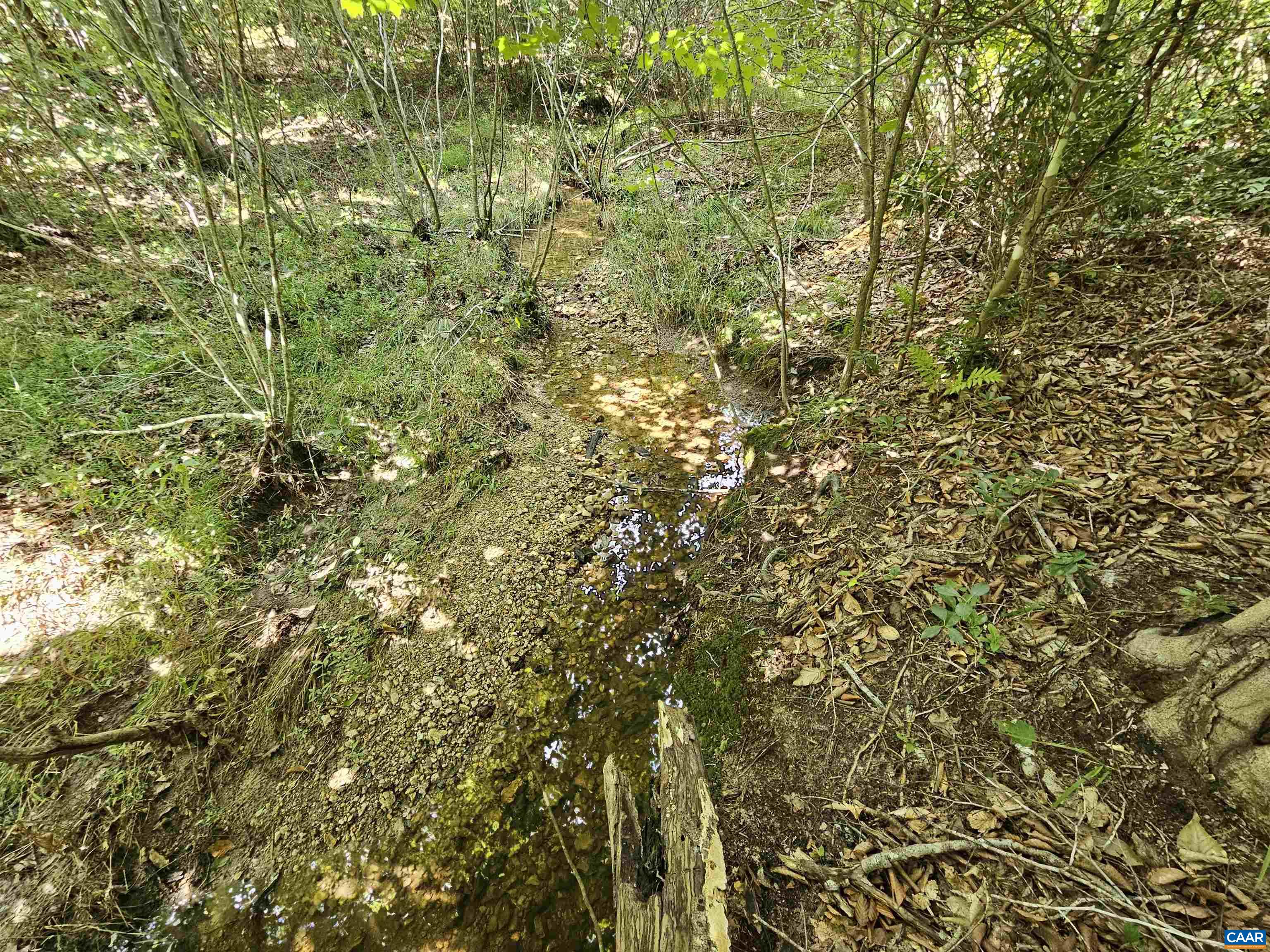 100 Ac W JAMES ANDERSON HWY, GLADSTONE, Virginia 24553, ,Farm,14,100 Ac W JAMES ANDERSON HWY,675255 MLS # 675255 100 Ac W JAMES ANDERSON HWY, GLADSTONE, Virginia 24553, ,Farm,14,100 Ac W JAMES ANDERSON HWY,675255 MLS # 675255