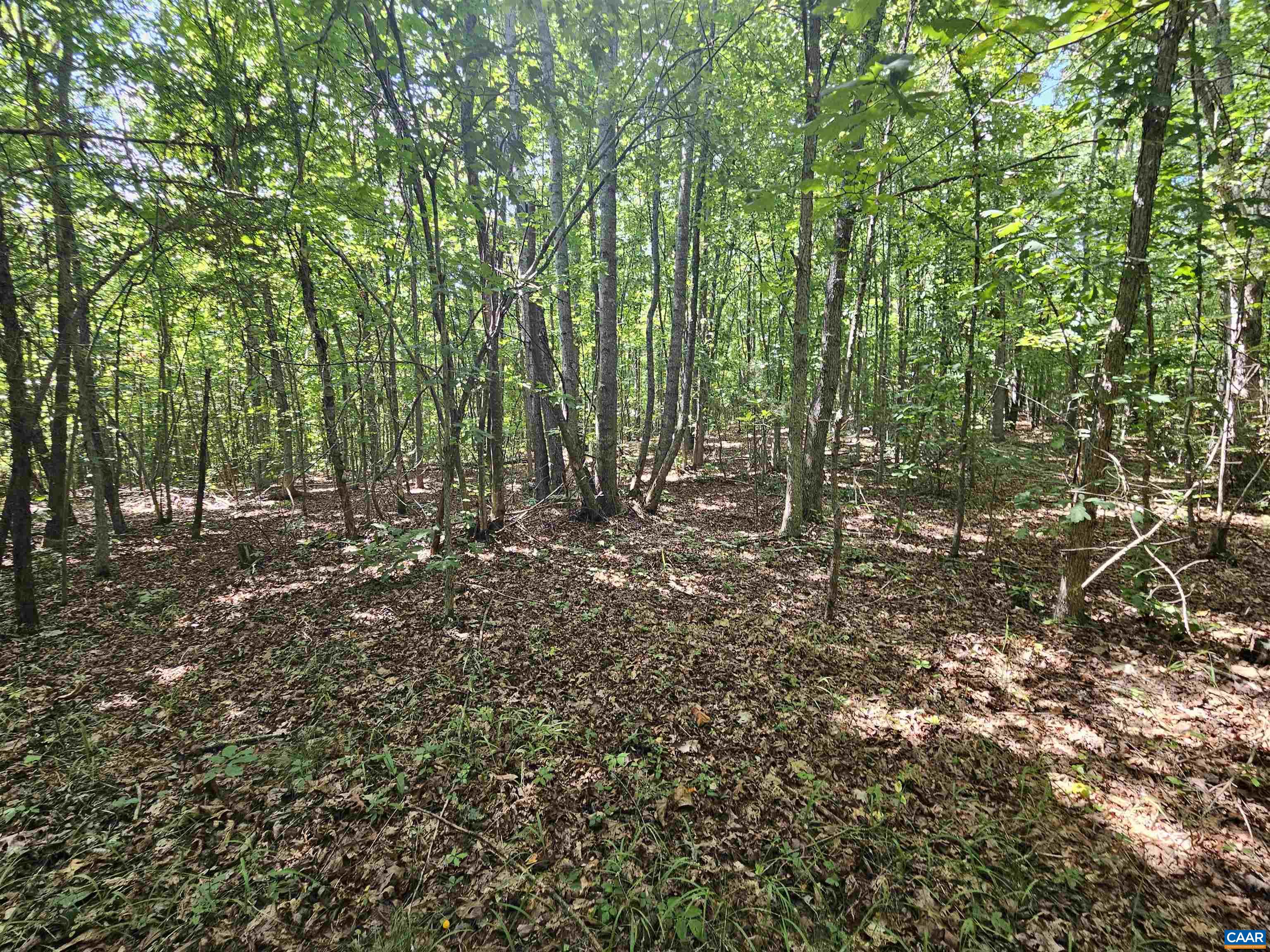 100 Ac W JAMES ANDERSON HWY, GLADSTONE, Virginia 24553, ,Farm,14,100 Ac W JAMES ANDERSON HWY,675255 MLS # 675255 100 Ac W JAMES ANDERSON HWY, GLADSTONE, Virginia 24553, ,Farm,14,100 Ac W JAMES ANDERSON HWY,675255 MLS # 675255