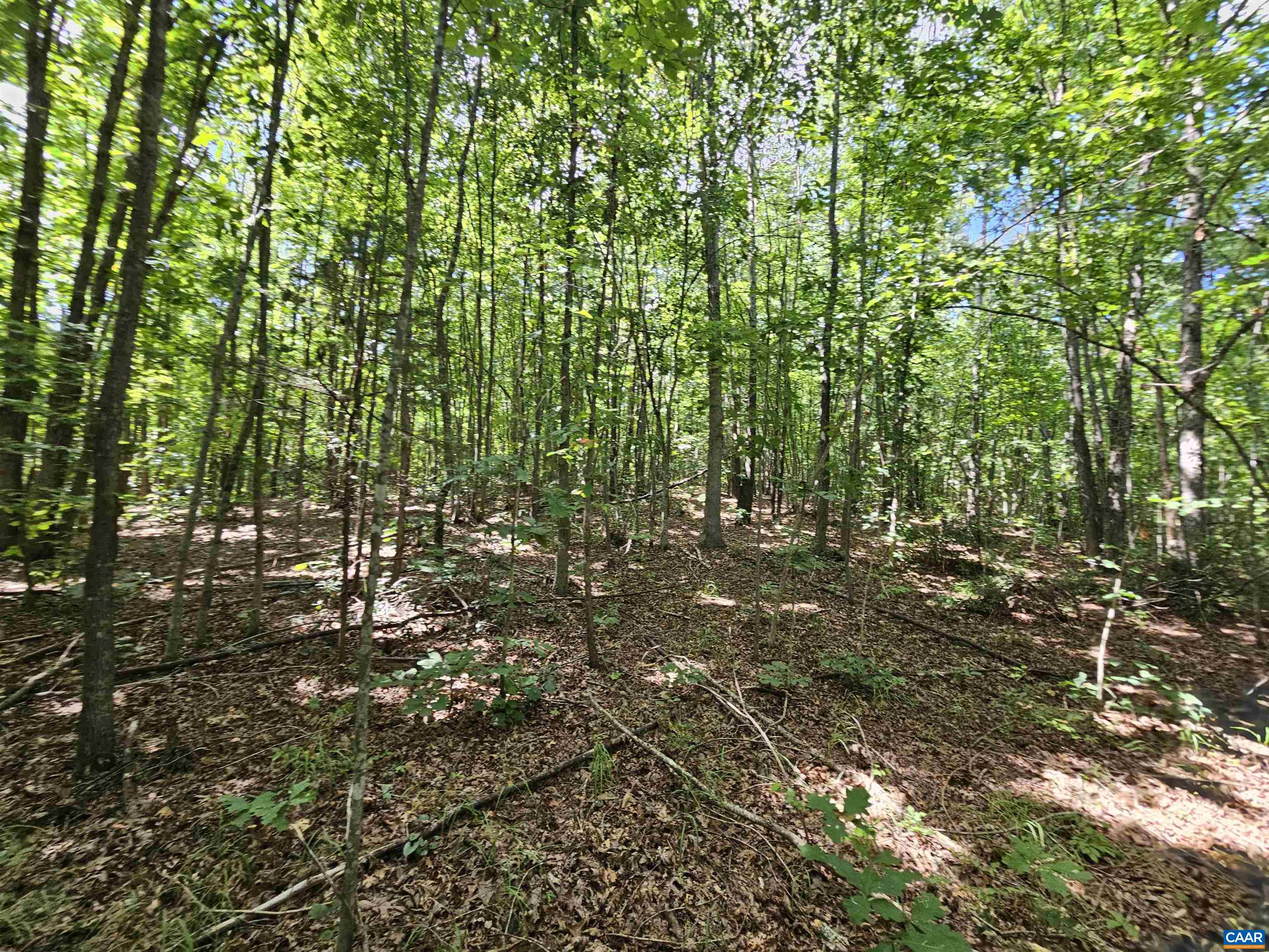 100 Ac W JAMES ANDERSON HWY, GLADSTONE, Virginia 24553, ,Farm,14,100 Ac W JAMES ANDERSON HWY,675255 MLS # 675255 100 Ac W JAMES ANDERSON HWY, GLADSTONE, Virginia 24553, ,Farm,14,100 Ac W JAMES ANDERSON HWY,675255 MLS # 675255