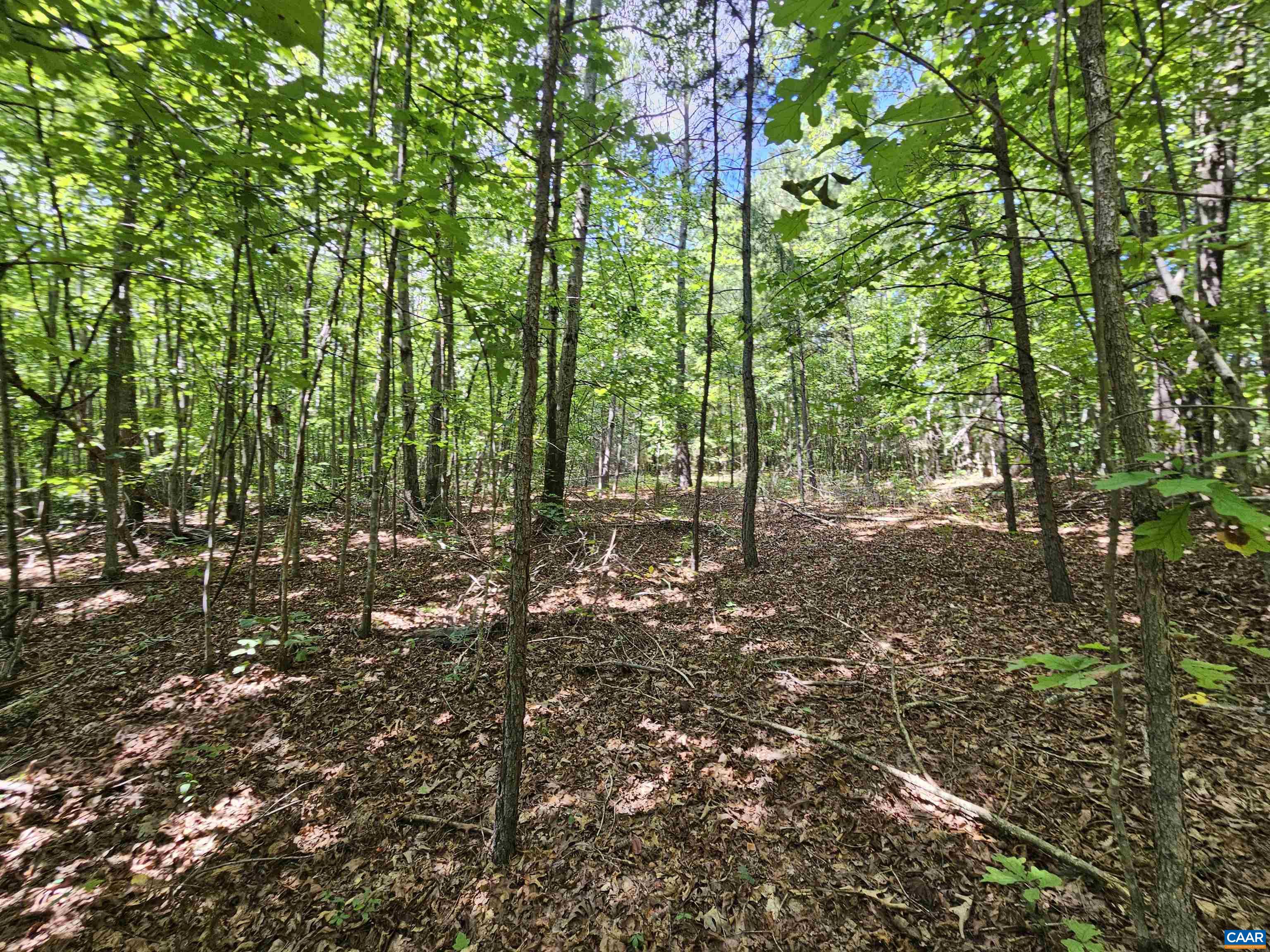 100 Ac W JAMES ANDERSON HWY, GLADSTONE, Virginia 24553, ,Farm,14,100 Ac W JAMES ANDERSON HWY,675255 MLS # 675255 100 Ac W JAMES ANDERSON HWY, GLADSTONE, Virginia 24553, ,Farm,14,100 Ac W JAMES ANDERSON HWY,675255 MLS # 675255