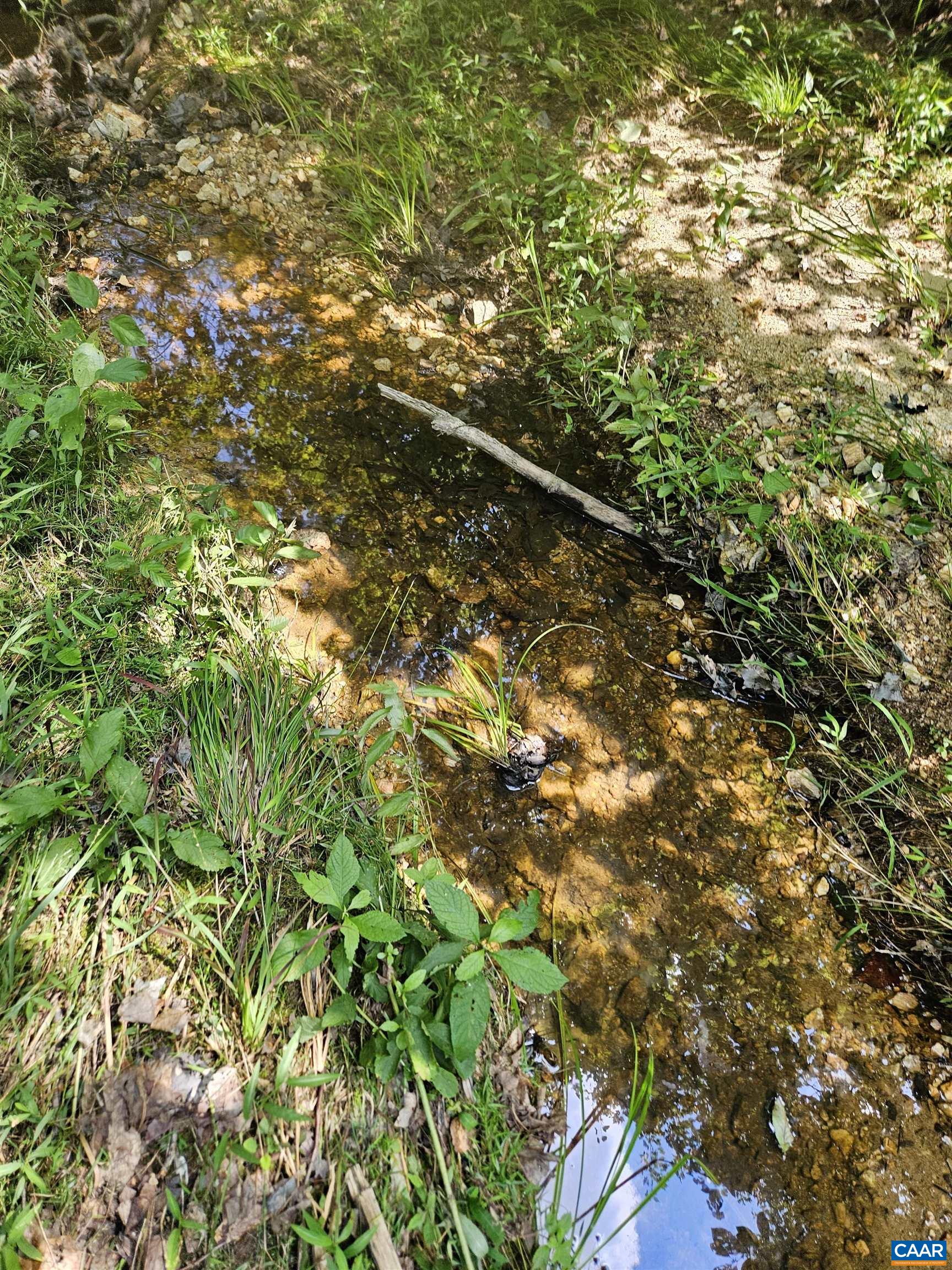 100 Ac W JAMES ANDERSON HWY, GLADSTONE, Virginia 24553, ,Farm,14,100 Ac W JAMES ANDERSON HWY,675255 MLS # 675255 100 Ac W JAMES ANDERSON HWY, GLADSTONE, Virginia 24553, ,Farm,14,100 Ac W JAMES ANDERSON HWY,675255 MLS # 675255