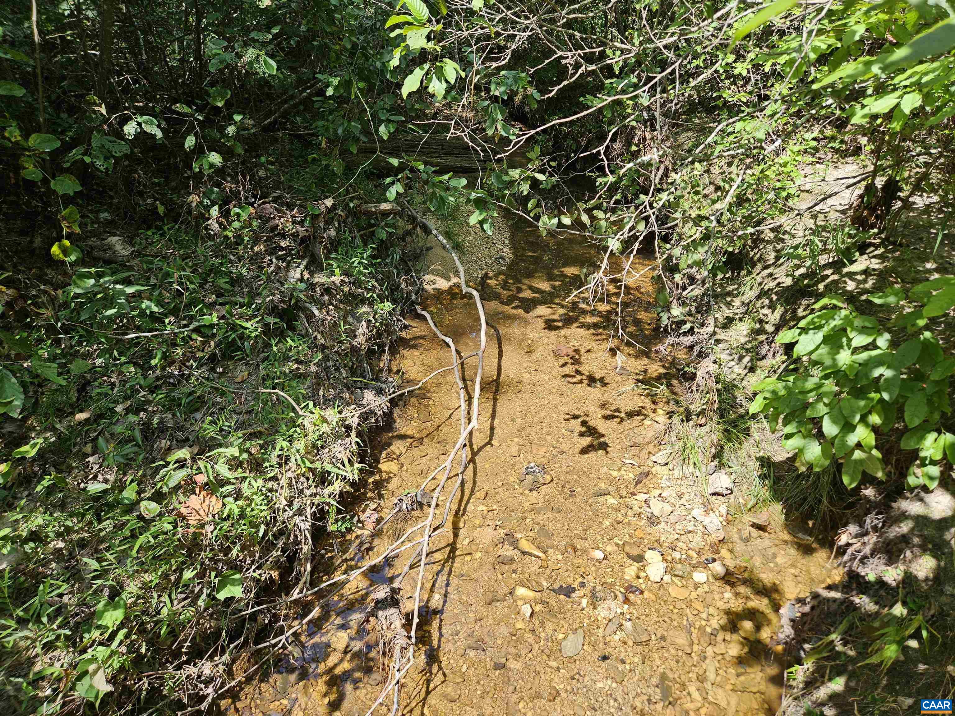 100 Ac W JAMES ANDERSON HWY, GLADSTONE, Virginia 24553, ,Farm,14,100 Ac W JAMES ANDERSON HWY,675255 MLS # 675255 100 Ac W JAMES ANDERSON HWY, GLADSTONE, Virginia 24553, ,Farm,14,100 Ac W JAMES ANDERSON HWY,675255 MLS # 675255