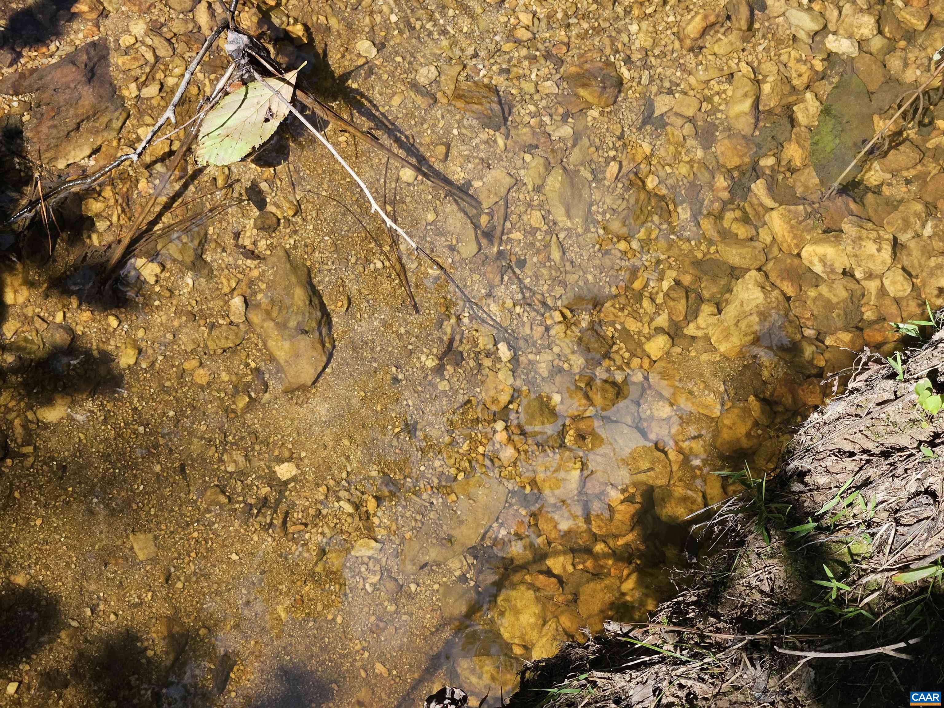 100 Ac W JAMES ANDERSON HWY, GLADSTONE, Virginia 24553, ,Farm,14,100 Ac W JAMES ANDERSON HWY,675255 MLS # 675255 100 Ac W JAMES ANDERSON HWY, GLADSTONE, Virginia 24553, ,Farm,14,100 Ac W JAMES ANDERSON HWY,675255 MLS # 675255