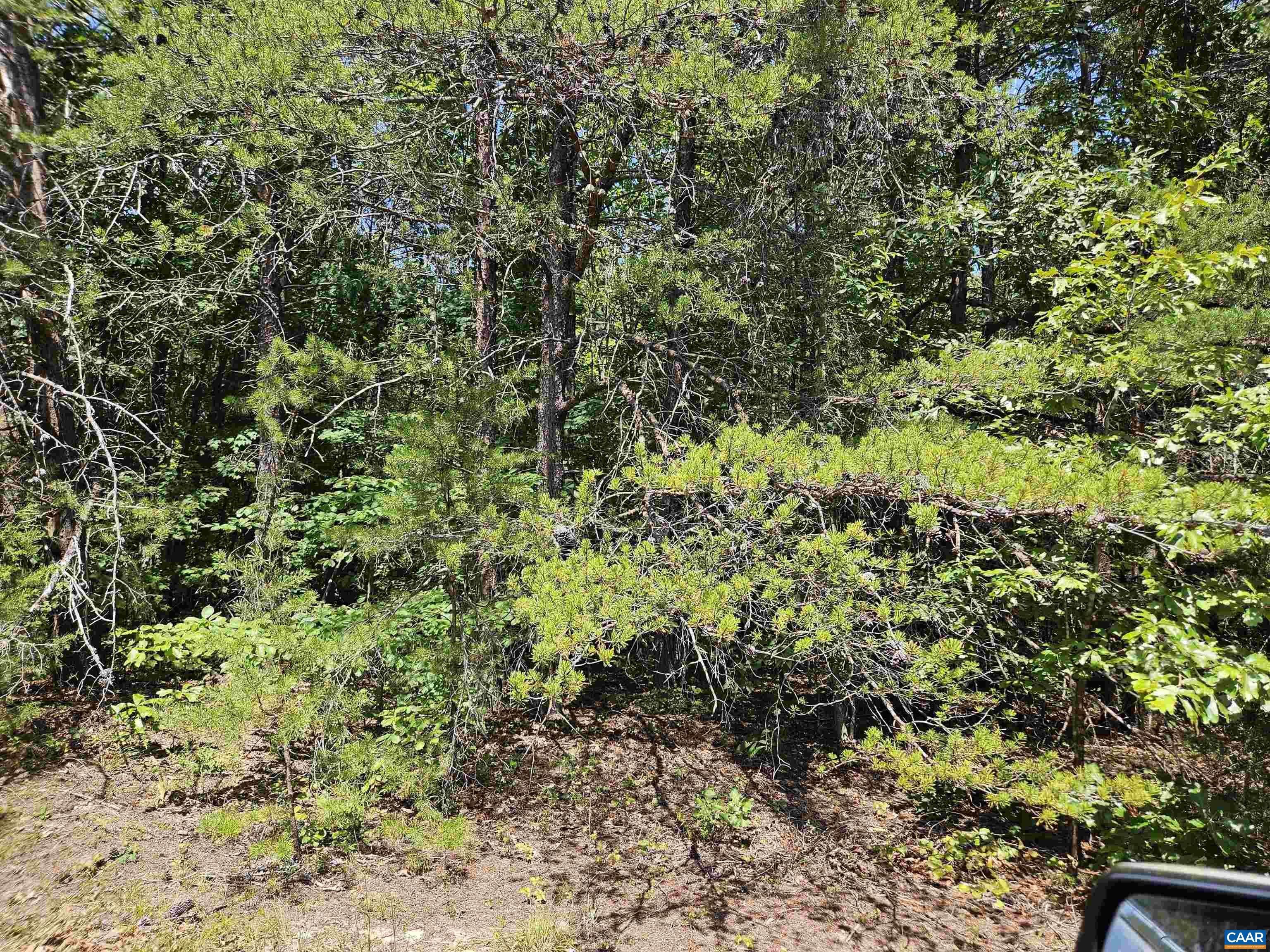 100 Ac W JAMES ANDERSON HWY, GLADSTONE, Virginia 24553, ,Farm,14,100 Ac W JAMES ANDERSON HWY,675255 MLS # 675255 100 Ac W JAMES ANDERSON HWY, GLADSTONE, Virginia 24553, ,Farm,14,100 Ac W JAMES ANDERSON HWY,675255 MLS # 675255