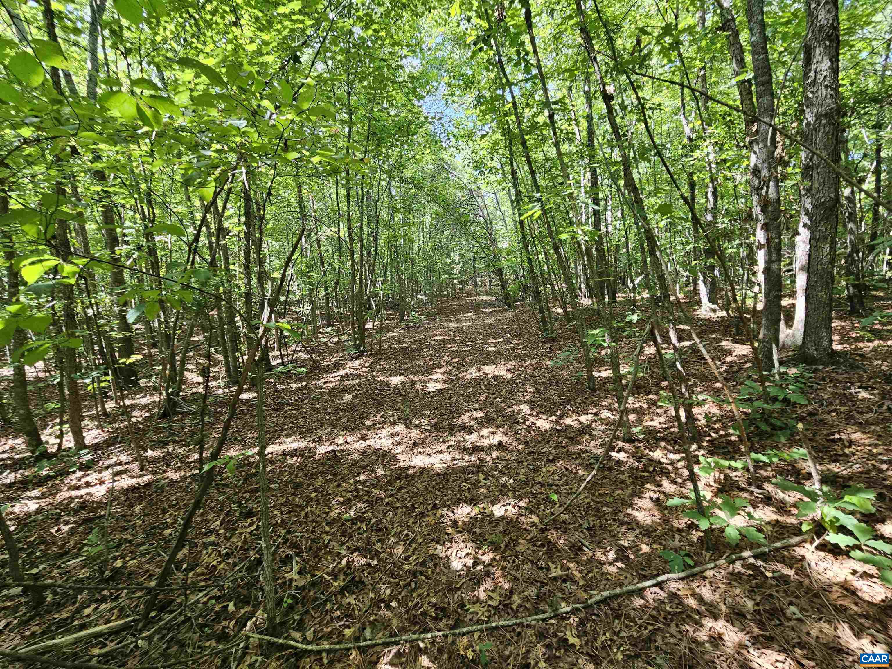 100 Ac W JAMES ANDERSON HWY, GLADSTONE, Virginia 24553, ,Farm,14,100 Ac W JAMES ANDERSON HWY,675255 MLS # 675255 100 Ac W JAMES ANDERSON HWY, GLADSTONE, Virginia 24553, ,Farm,14,100 Ac W JAMES ANDERSON HWY,675255 MLS # 675255