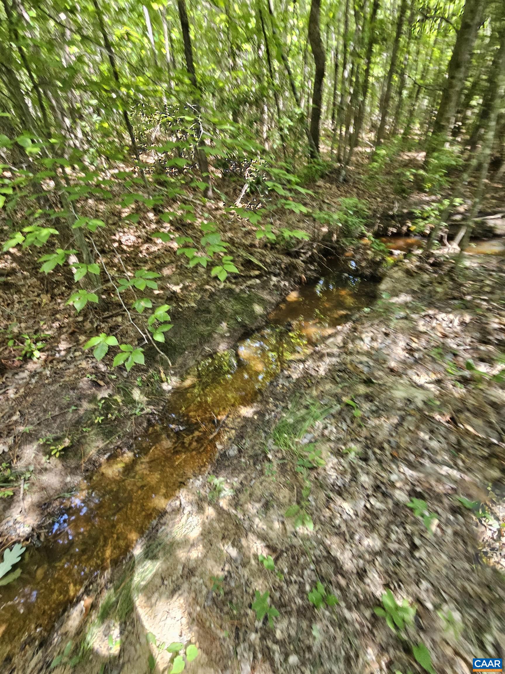 100 Ac W JAMES ANDERSON HWY, GLADSTONE, Virginia 24553, ,Farm,14,100 Ac W JAMES ANDERSON HWY,675255 MLS # 675255 100 Ac W JAMES ANDERSON HWY, GLADSTONE, Virginia 24553, ,Farm,14,100 Ac W JAMES ANDERSON HWY,675255 MLS # 675255