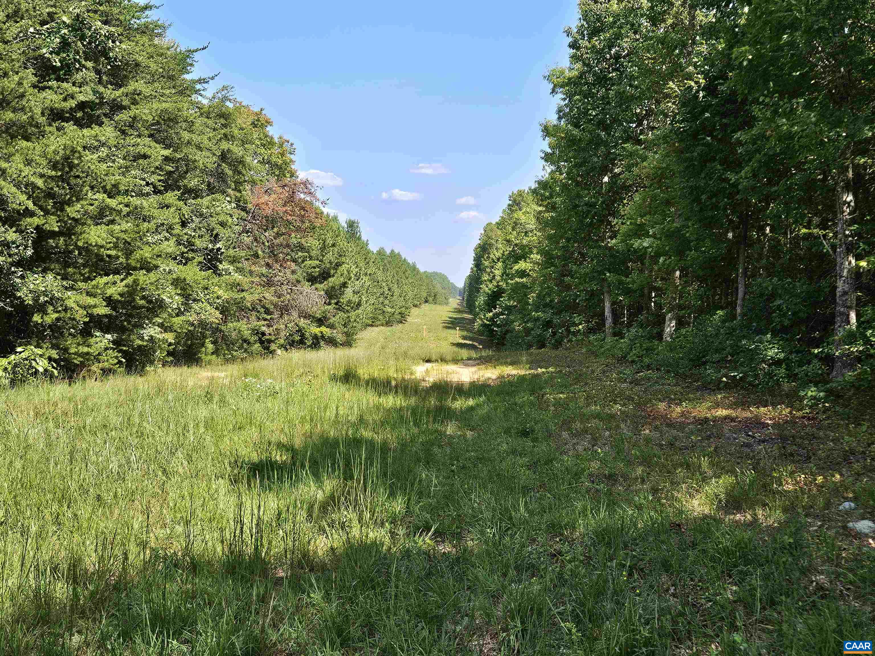 100 Ac W JAMES ANDERSON HWY, GLADSTONE, Virginia 24553, ,Farm,14,100 Ac W JAMES ANDERSON HWY,675255 MLS # 675255 100 Ac W JAMES ANDERSON HWY, GLADSTONE, Virginia 24553, ,Farm,14,100 Ac W JAMES ANDERSON HWY,675255 MLS # 675255