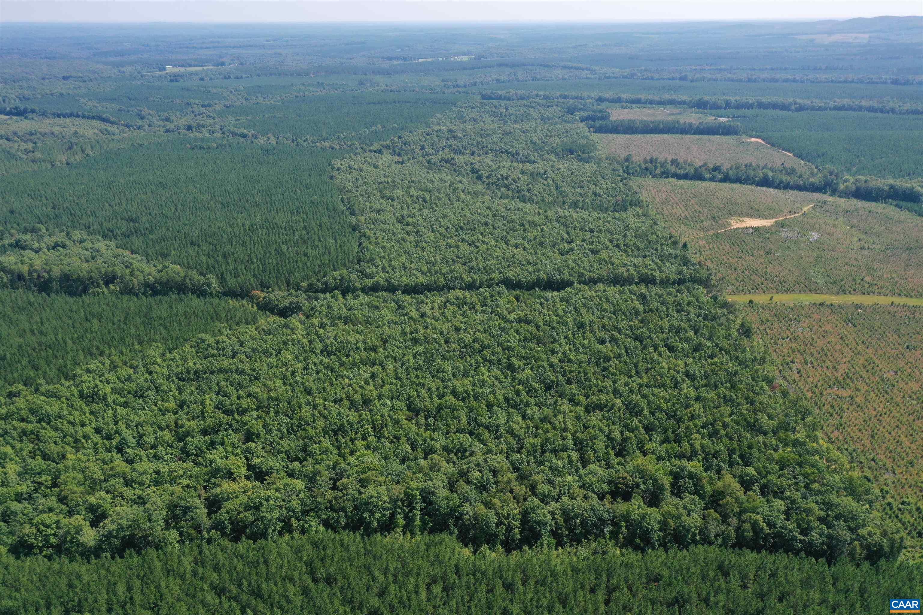 100 Ac W JAMES ANDERSON HWY, GLADSTONE, Virginia 24553, ,Farm,14,100 Ac W JAMES ANDERSON HWY,675255 MLS # 675255 100 Ac W JAMES ANDERSON HWY, GLADSTONE, Virginia 24553, ,Farm,14,100 Ac W JAMES ANDERSON HWY,675255 MLS # 675255