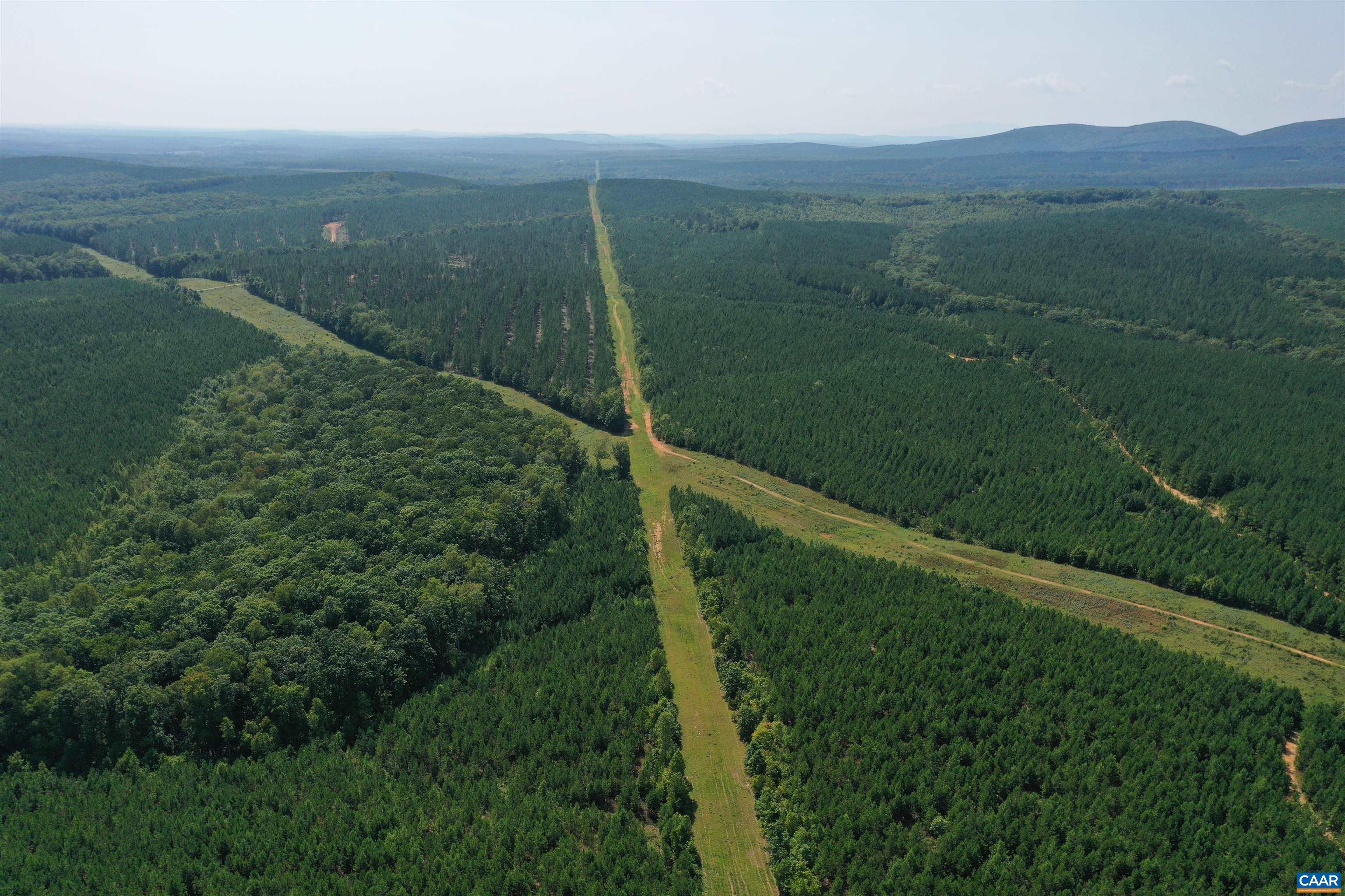 100 Ac W JAMES ANDERSON HWY, GLADSTONE, Virginia 24553, ,Farm,14,100 Ac W JAMES ANDERSON HWY,675255 MLS # 675255 100 Ac W JAMES ANDERSON HWY, GLADSTONE, Virginia 24553, ,Farm,14,100 Ac W JAMES ANDERSON HWY,675255 MLS # 675255