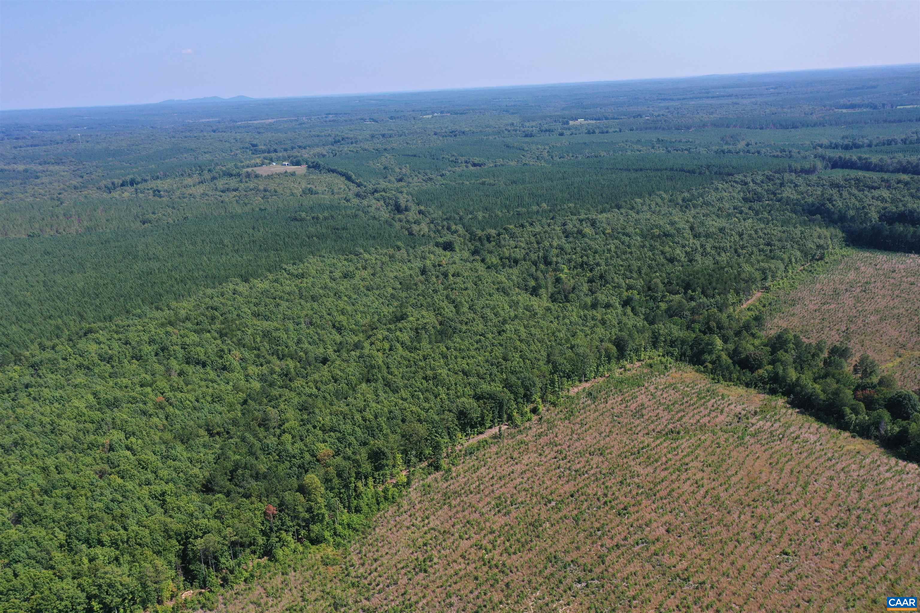 100 Ac W JAMES ANDERSON HWY, GLADSTONE, Virginia 24553, ,Farm,14,100 Ac W JAMES ANDERSON HWY,675255 MLS # 675255 100 Ac W JAMES ANDERSON HWY, GLADSTONE, Virginia 24553, ,Farm,14,100 Ac W JAMES ANDERSON HWY,675255 MLS # 675255