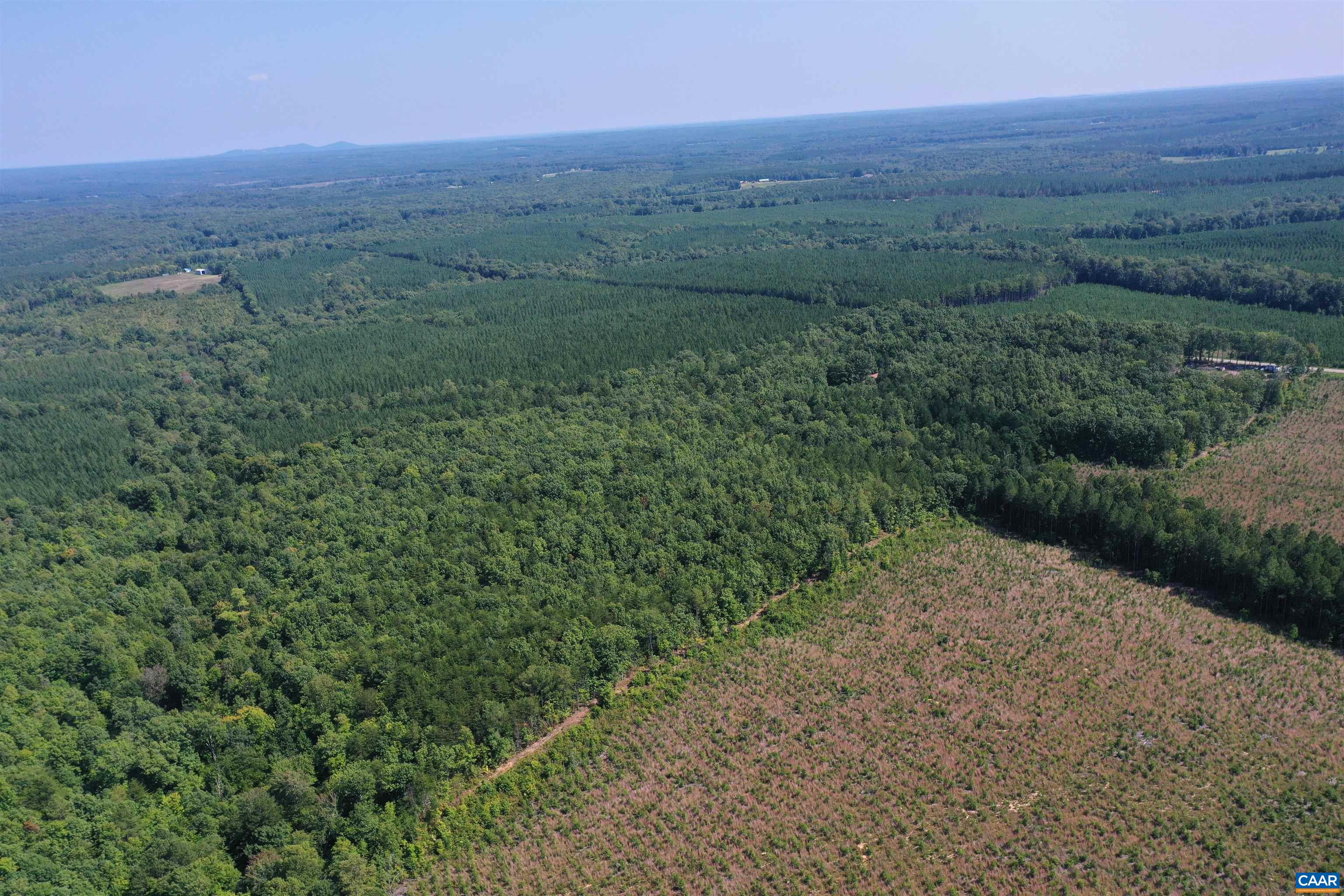 100 Ac W JAMES ANDERSON HWY, GLADSTONE, Virginia 24553, ,Farm,14,100 Ac W JAMES ANDERSON HWY,675255 MLS # 675255 100 Ac W JAMES ANDERSON HWY, GLADSTONE, Virginia 24553, ,Farm,14,100 Ac W JAMES ANDERSON HWY,675255 MLS # 675255