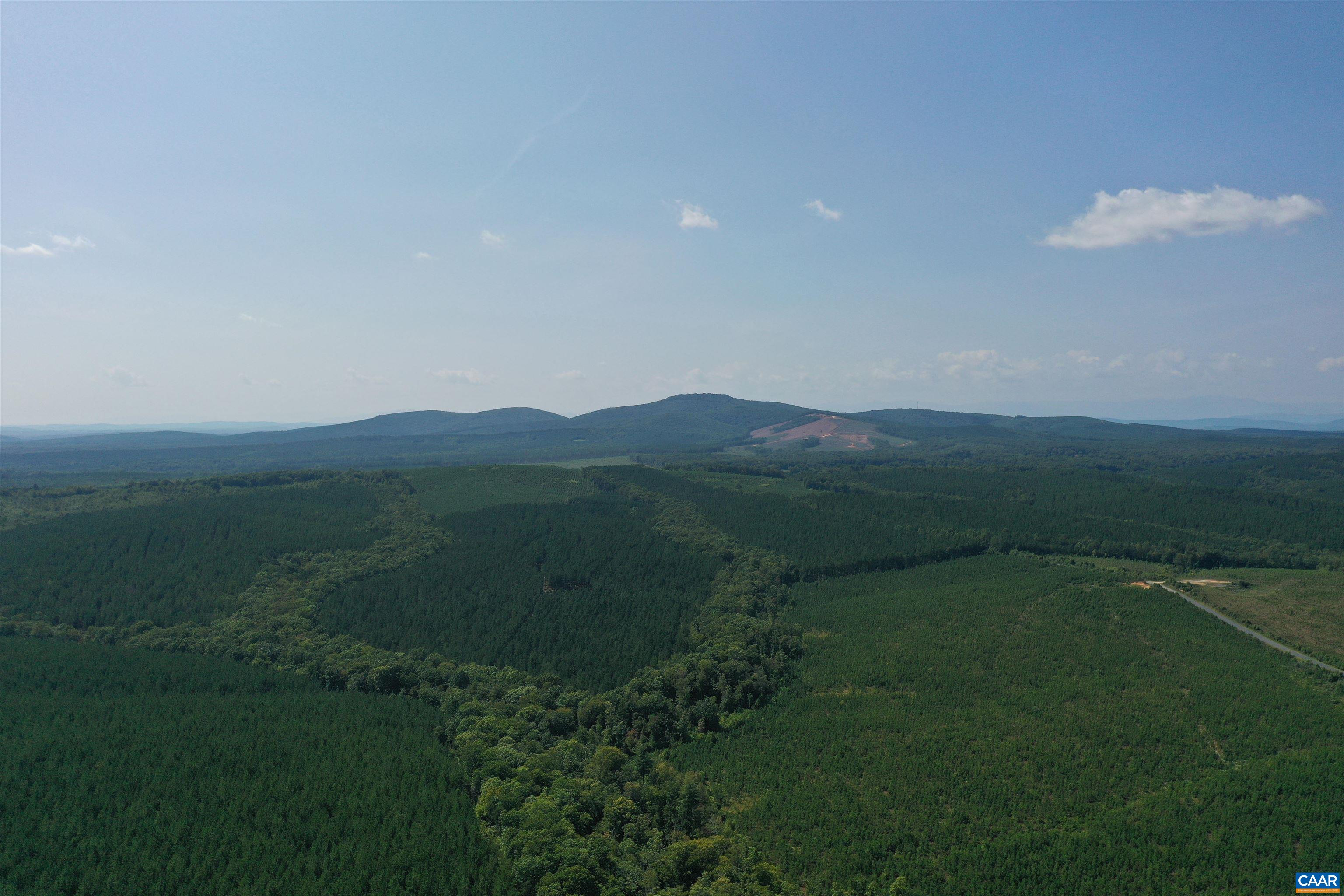 100 Ac W JAMES ANDERSON HWY, GLADSTONE, Virginia 24553, ,Farm,14,100 Ac W JAMES ANDERSON HWY,675255 MLS # 675255 100 Ac W JAMES ANDERSON HWY, GLADSTONE, Virginia 24553, ,Farm,14,100 Ac W JAMES ANDERSON HWY,675255 MLS # 675255